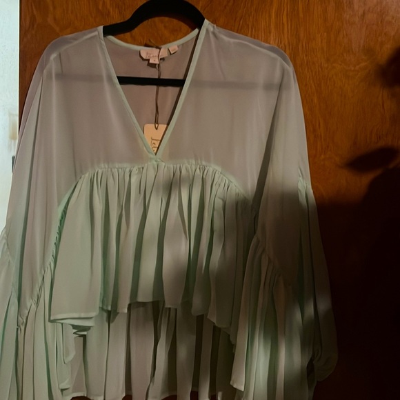 Anthropologie Let Me Be Sheer Babydoll Blouse (size M) (color Mint) - Picture 7 of 8